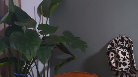 Snapshot of hairyrobxxx chatting on 20, 9, 2025 HairyRobXxX online show from 20, 9, 2025