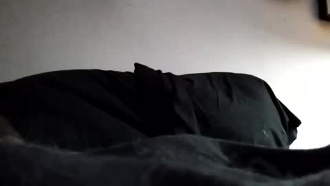 Snapshot of hairyspermballs chatting on 3, 2, 2026 Marty online show from 3, 2, 2026