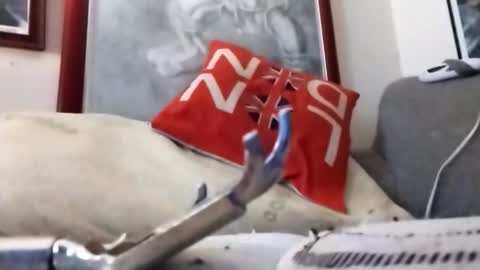 Snapshot of hairyspermballs chatting on 22, 2, 2026 Marty online show from 22, 2, 2026