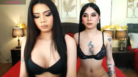 Snapshot of haisleypalmer chatting on 17, 3, 2026 YOUR SIDECHIC HAILEY online show from 17, 3, 2026