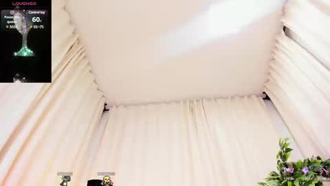 Snapshot of hakurukushka chatting on 27, 2, 2025 Haku Please help me with your thumbs up its important online show from 27, 2, 2025