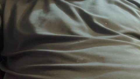 Snapshot of hamhead71 chatting on 2, 12, 2024 hamhead71 online show from 2, 12, 2024