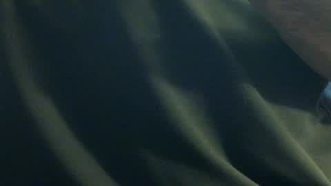 Snapshot of hamhead71 chatting on 27, 12, 2024 hamhead71 online show from 27, 12, 2024