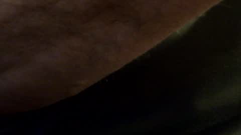 Snapshot of hamhead71 chatting on 14, 1, 2025 hamhead71 online show from 14, 1, 2025