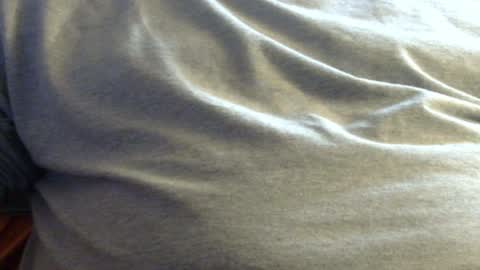 Snapshot of hamhead71 chatting on 28, 1, 2025 hamhead71 online show from 28, 1, 2025