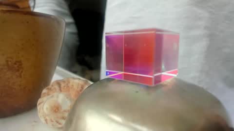 Snapshot of handncocknocum chatting on 26, 12, 2024 handncocknocum online show from 26, 12, 2024