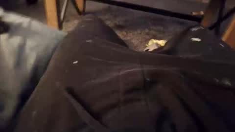 handylong88 online show from 19, 11, 2025