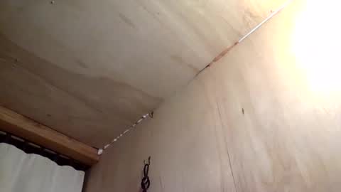 handywoody online show from 1, 2, 2026