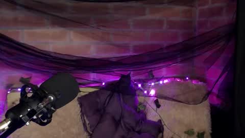 Hannah online show from 16, 12, 2025