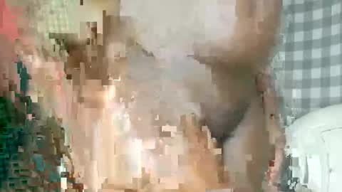 FLOWER online show from 22, 12, 2024