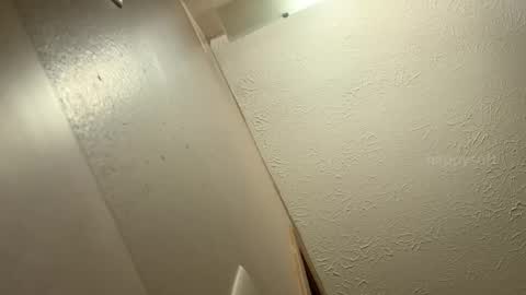 meatwad online show from 9, 12, 2024