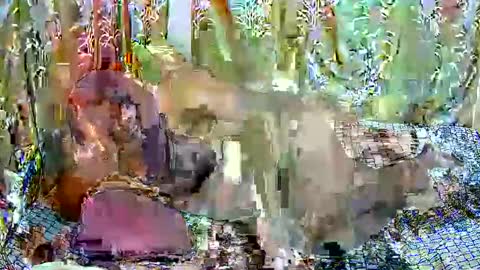 Snapshot of happysonia chatting on 18, 3, 2026 happysonia online show from 18, 3, 2026