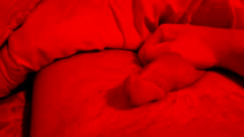 Small things matters online show from 6, 3, 2026