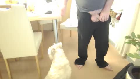 harald1234 online show from 21, 2, 2026