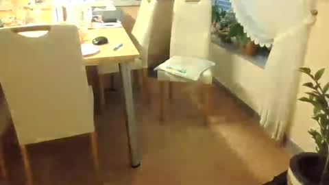 Snapshot of harald1234 chatting on 26, 7, 2026 harald1234 online show from 26, 7, 2026