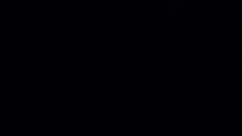 Iordan online show from 20, 12, 2024