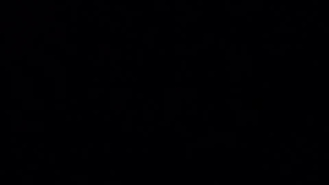 Iordan online show from 24, 12, 2024