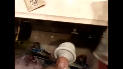 Snapshot of hardforu8675 chatting on 13, 4, 2026 hardforu8675 online show from 13, 4, 2026