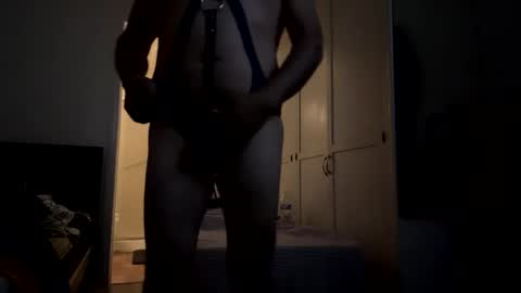 Snapshot of harnessman69 chatting on 10, 11, 2025 harnessman69 online show from 10, 11, 2025