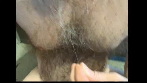 Snapshot of harry_banana chatting on 27, 2, 2026 harry_banana online show from 27, 2, 2026