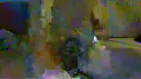 Snapshot of harryhavana chatting on 11, 2, 2025 harryhavana online show from 11, 2, 2025
