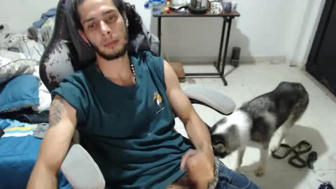 Hasani online show from 7, 10, 2025