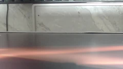 hass online show from 31, 1, 2026