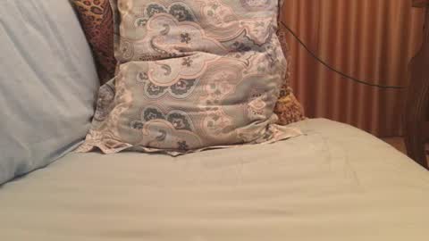 havedream1m online show from 13, 10, 2025