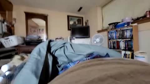 hawkfan1888 online show from 2, 1, 2025