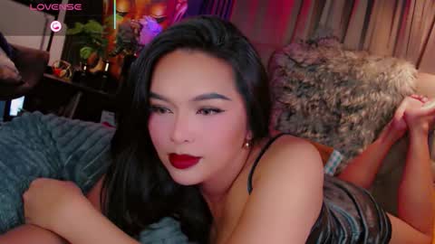 HAYFA online show from 13, 11, 2025