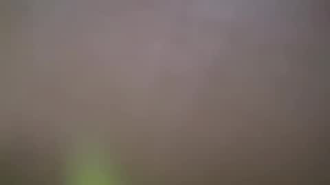 ZhongLi online show from 14, 2, 2025