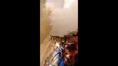 haydenbryce52 online show from 11, 1, 2026