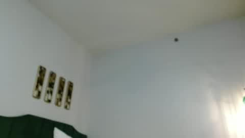 Snapshot of hazel_skye chatting on 29, 12, 2024 Hazel online show from 29, 12, 2024