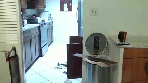 HE Black online show from 25, 4, 2026