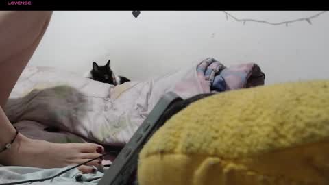 sofia online show from 4, 12, 2025