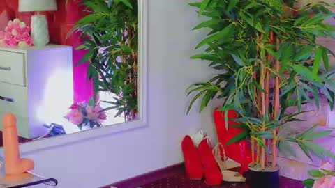 Helen online show from 10, 6, 2026