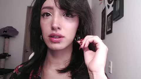 cher online show from 11, 1, 2025