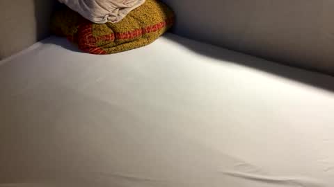 Snapshot of hello902 chatting on 16, 9, 2025 David Whinston Smith online show from 16, 9, 2025