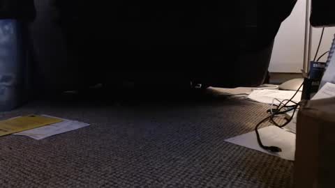 henryjxxx online show from 12, 1, 2025