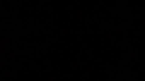 herkimer95 online show from 5, 1, 2025