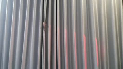 Aran online show from 3, 12, 2025