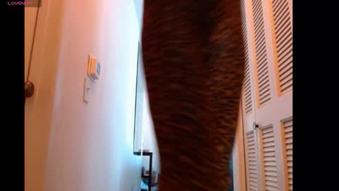 Snapshot of hevin69 chatting on 15, 2, 2026 hevin69 online show from 15, 2, 2026