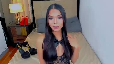 SAFIRA 3 online show from 7, 7, 2026