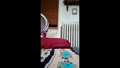 Snapshot of heythatguy2589 chatting on 21, 3, 2026 heythatguy2589 online show from 21, 3, 2026