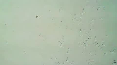 hhhjnf1 online show from 20, 9, 2025