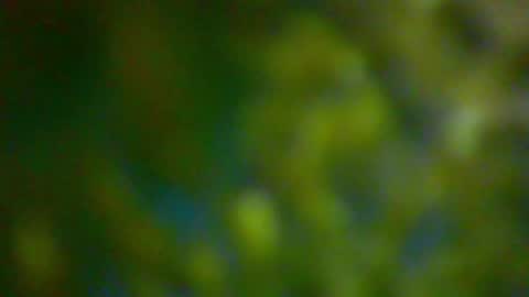 hhhjnf1 online show from 6, 10, 2025