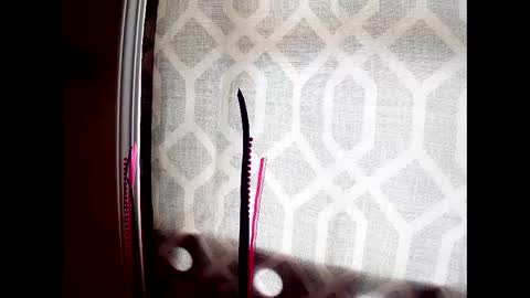 Snapshot of highnesscali37 chatting on 7, 12, 2024 Highnesscali37 online show from 7, 12, 2024