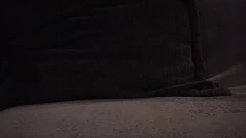 hikinxxx online show from 12, 11, 2025