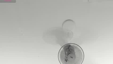 hilary_tailor online show from 15, 1, 2026