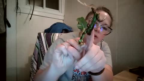 Bella online show from 9, 10, 2025